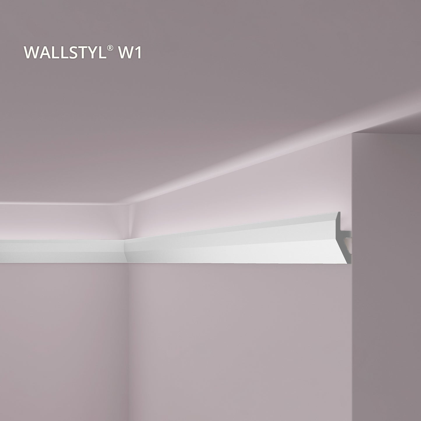 Brau decorativ led Nmc W1 55x18x2000mm