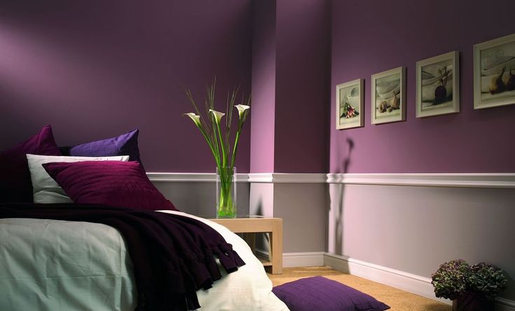 Brauri decorative