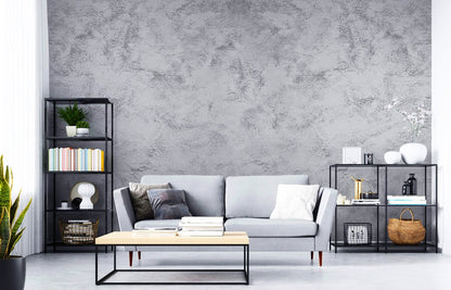 Vopsea decorativa cu efect metalizat , Caparol Arte Noblissima - Shopdecor.ro Vopsea decorativa